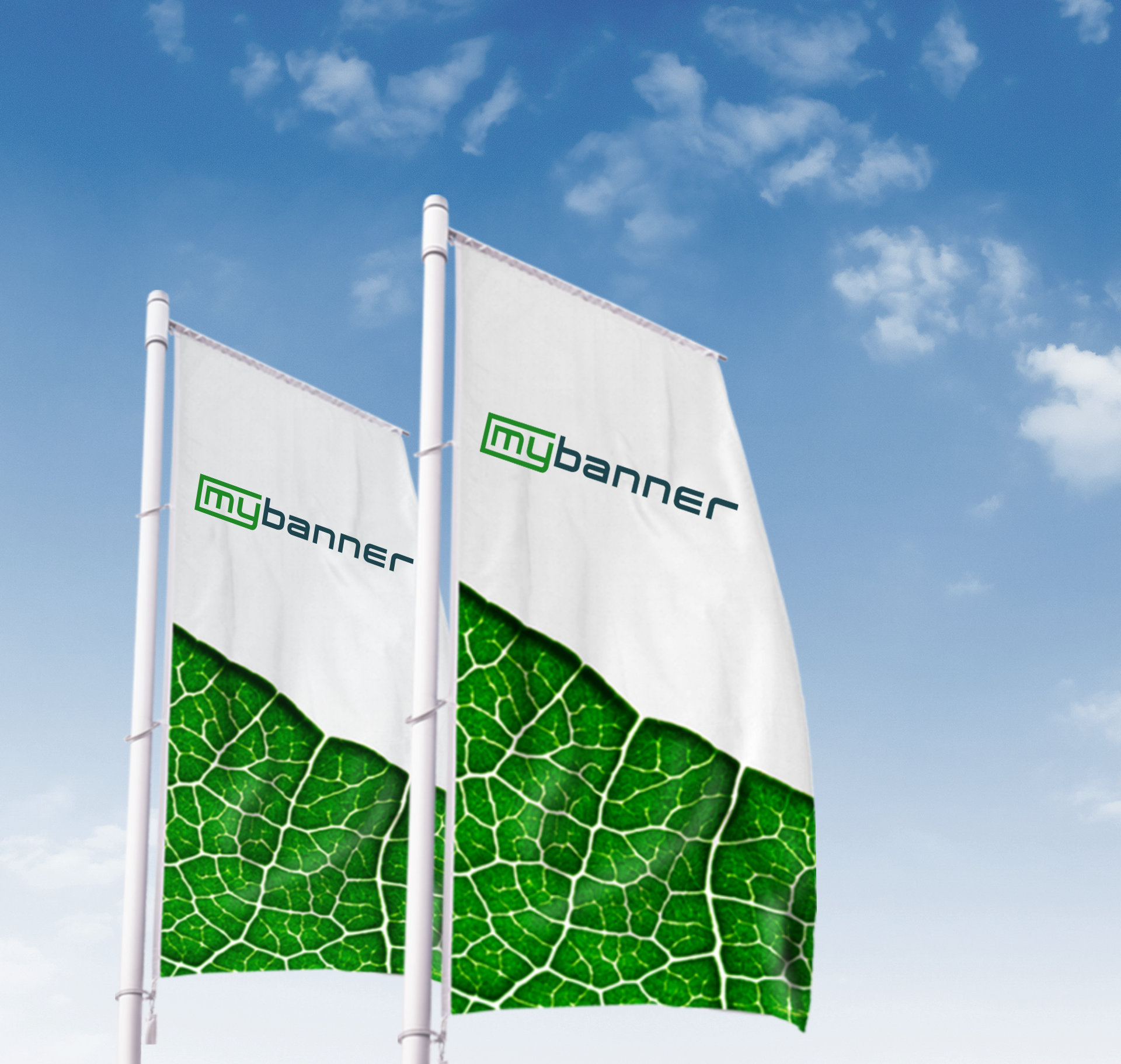 FSFLAG Gebratene Hühnerfeder-Flagge Mit Mast-Set + Erdspieß – 2,5 M Werbebanner Für Außenwerbung, Windfest & Wetterbeständig