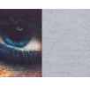 AIRTEX Banner