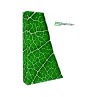 SEG Pop Up Display LED