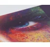 PVC Frontlit Banner